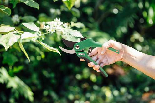 Mockins Professional Heavy Duty Stainless Steel Pruning Shears - Green (MGSHEARBP26)