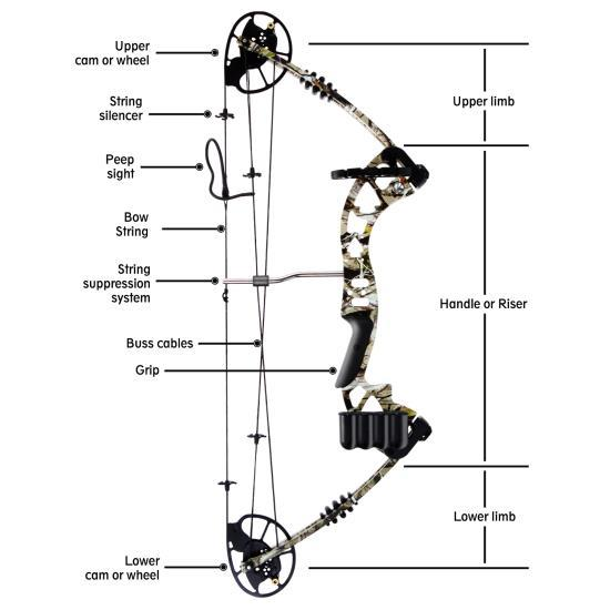 SereneLife Compound Bow (SLCOMB10)