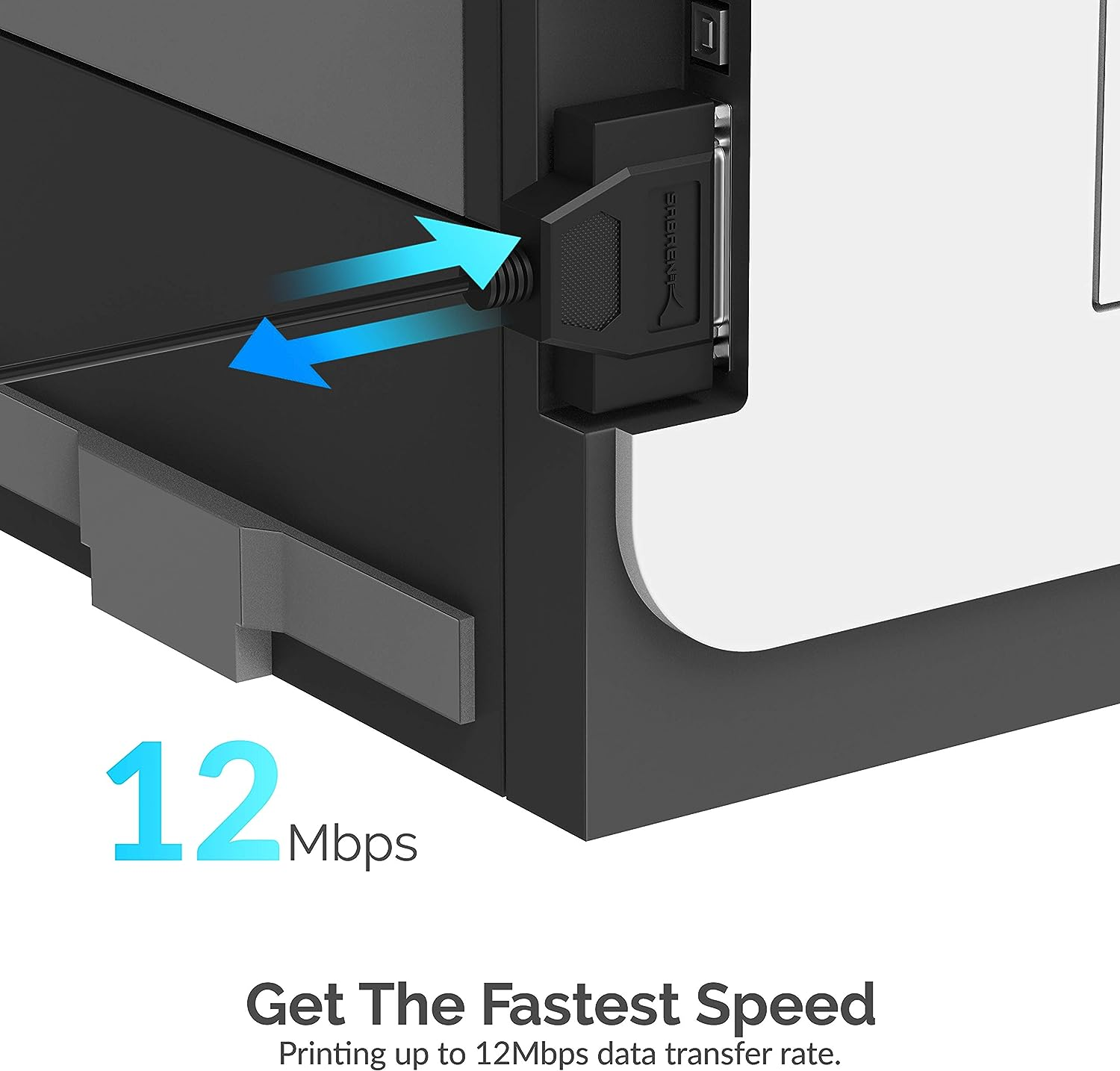 SABRENT USB 2.0 to DB25 IEEE 1284 Parallel Printer Cable Adapter [HEXNUT Connectors] (CB-1284)