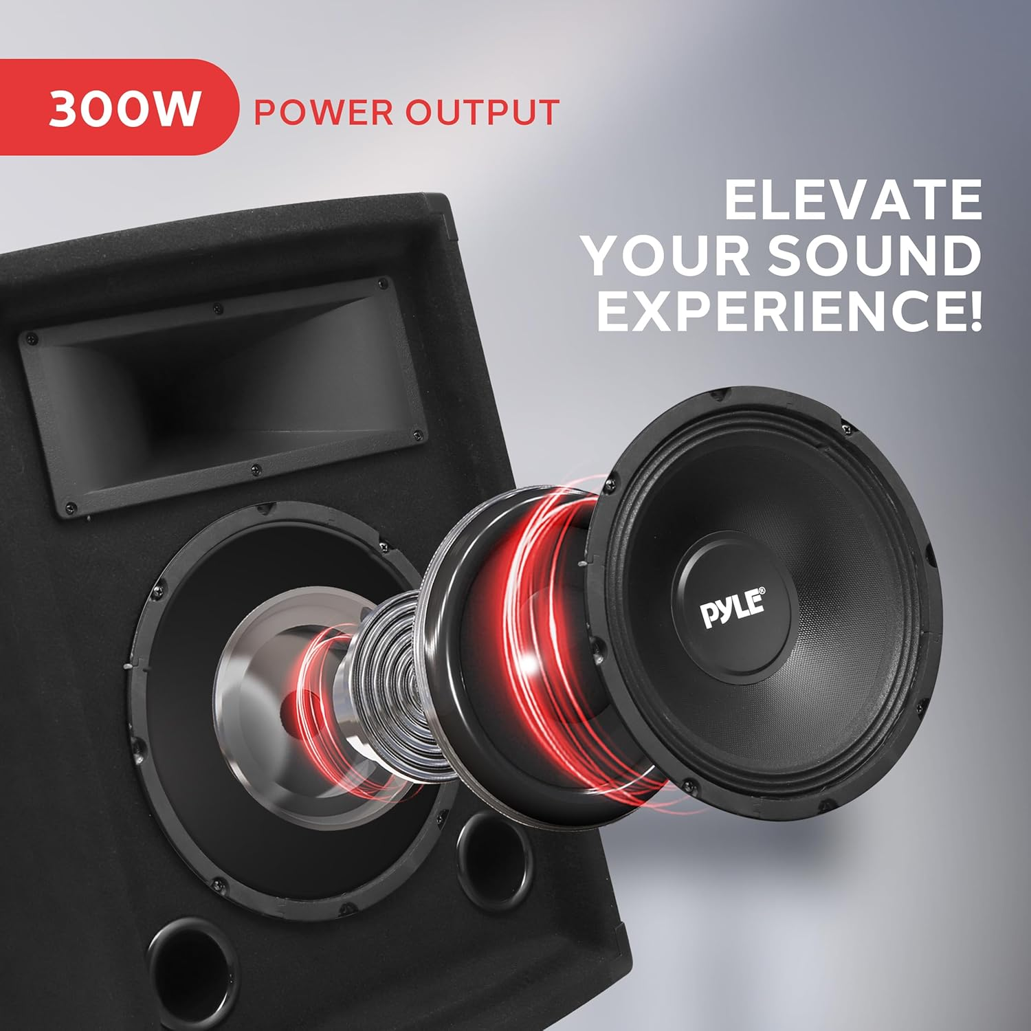 PYLE-PRO PADH1079 - 500 Watt 10'' Two-Way Speaker Cabinet