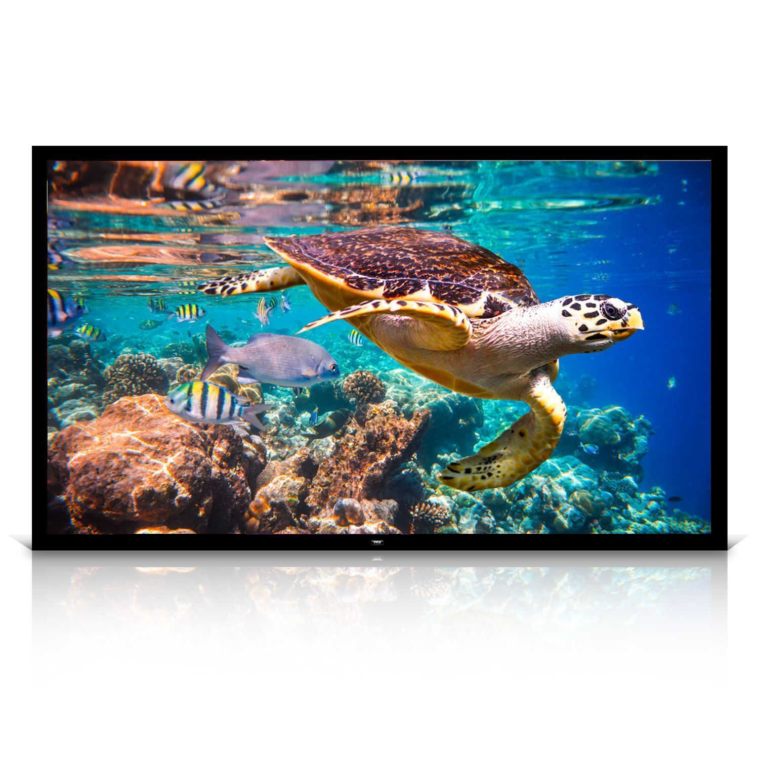 Pyle 120" Matt White Home Theater TV Wall Mounted Fixed Flat Projector Screen - 120 inch 16:9 Full HD Projection - Easy to Set Up for Room Video, Slideshow, Movie / Film Showing - PRJTPFL122